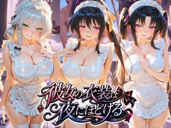 彼女の衣装は夜にほどける ハ〇スクールD×D