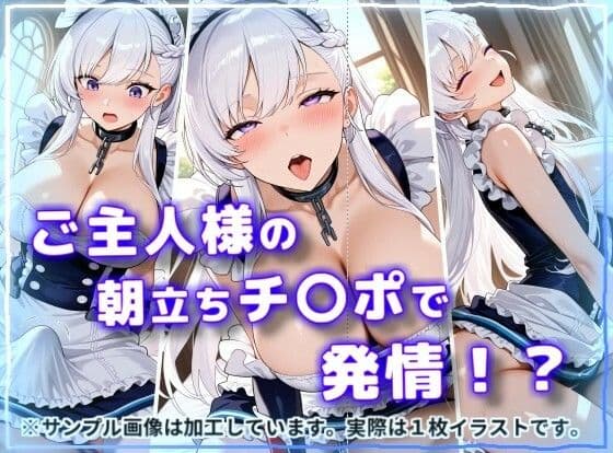 メイドヒロインがご主人様にご奉仕発情オナペットにされるCG集【ベル〇ァスト編】 サンプル2