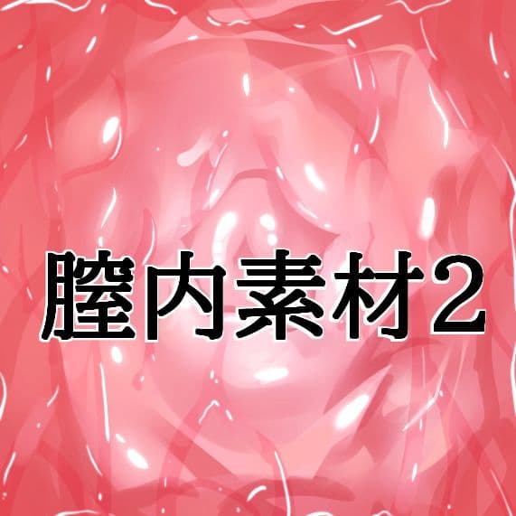 膣内素材2 サンプル1