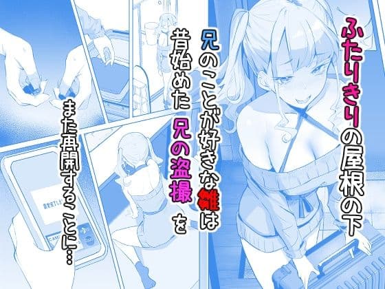 見守りカメラでお兄を視てたらあたしも視られてた話 サンプル2