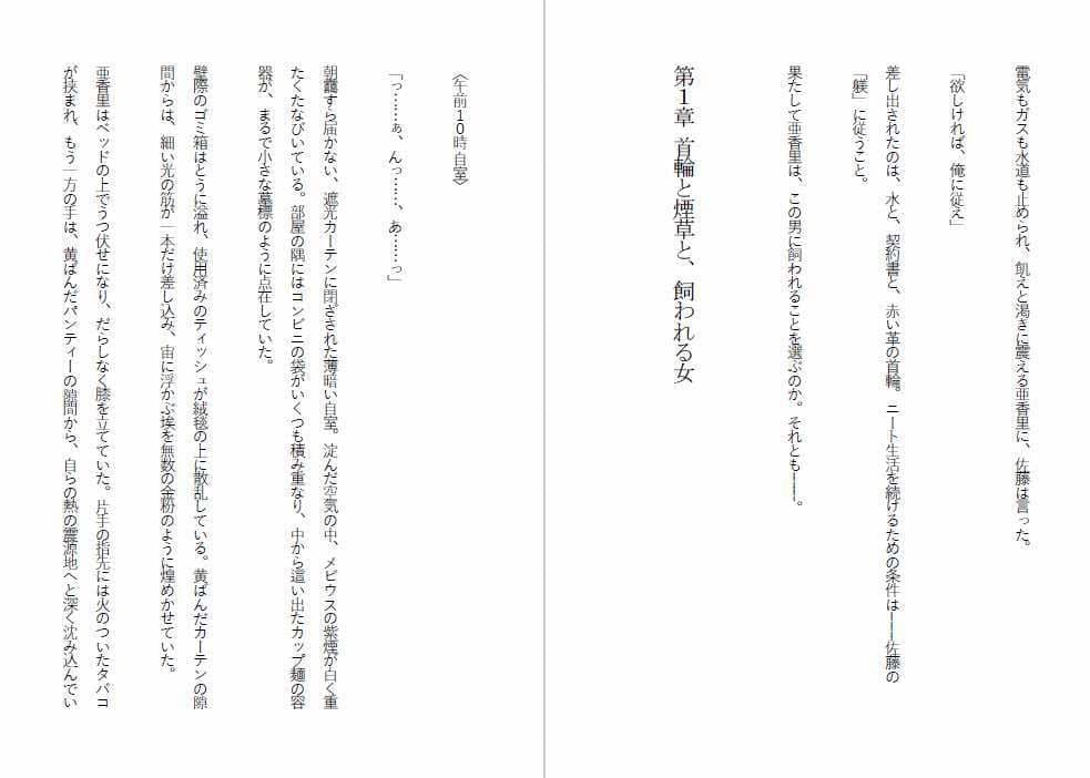 ニート雌豚開発計画-ニートからペットへ サンプル3