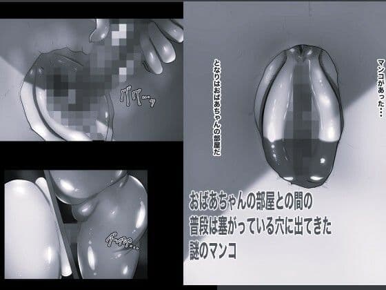 壁マンコ おばあちゃんと孫のガチ小作りセックス5 モノクロ版 サンプル1