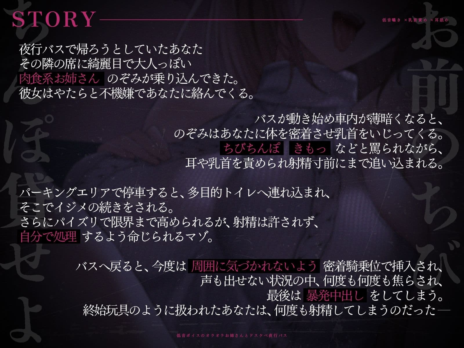 【低音囁き×乳首責め×耳舐め】「おい、お前のちびちんぽ貸せよ」低音ボイスのオラオラお姉さんとドスケベ夜行バス【CV沢野ぽぷら】 サンプル2